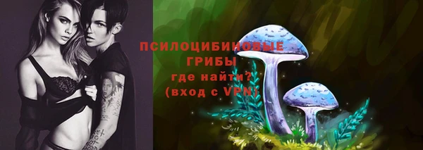 mdpv Алзамай