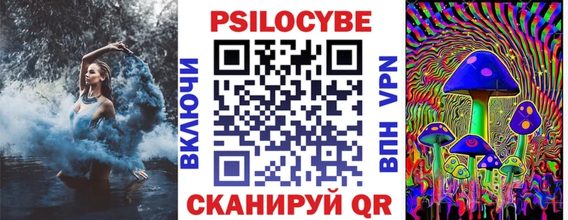 Псилоцибиновые грибы Psilocybine cubensis  Яхрома 